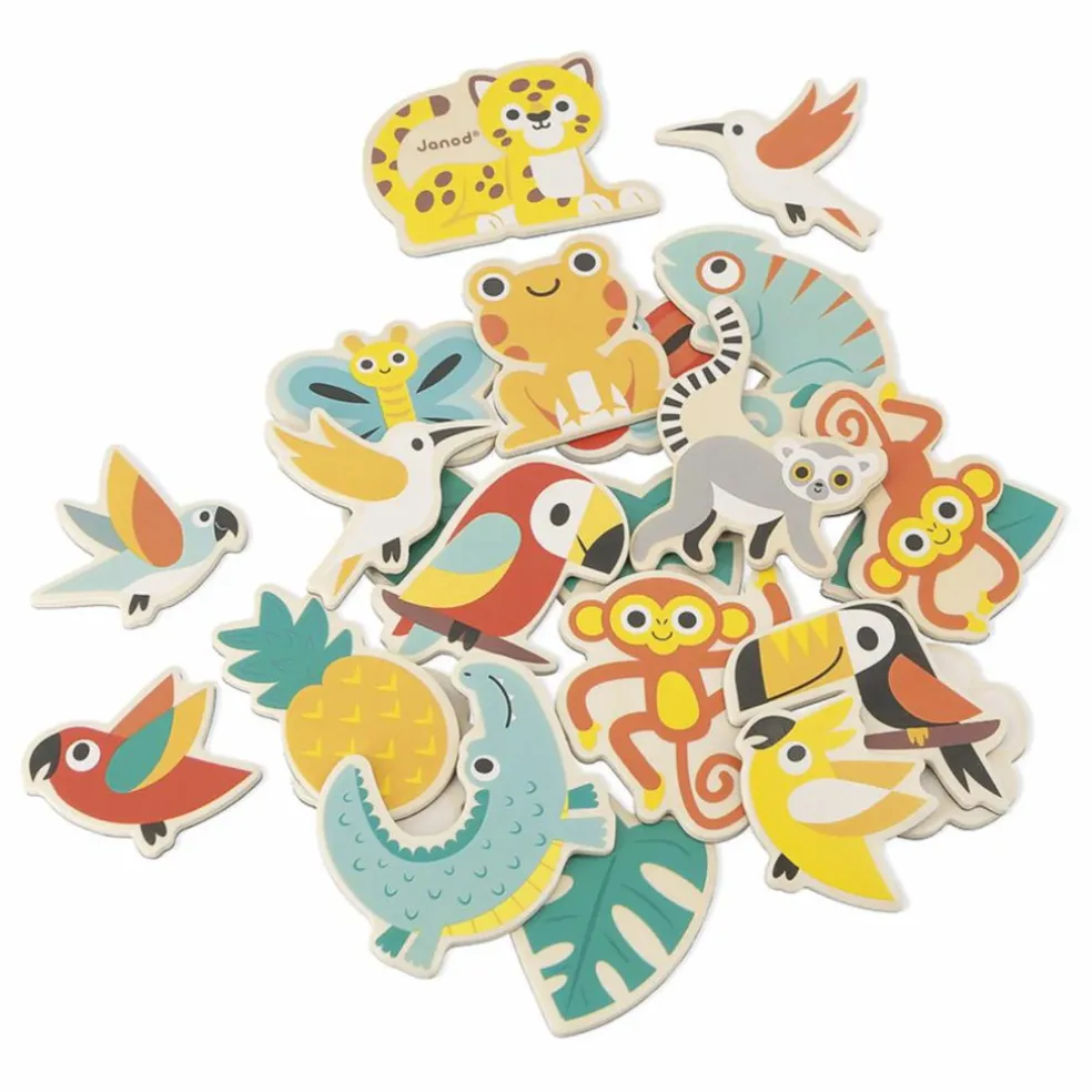 Magnets Tropicaux - set de 24
