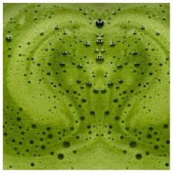 Matcha latte essentiel activateur de métabolisme - 146g