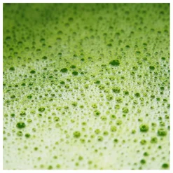 Matcha latte essentiel activateur de métabolisme - 146g