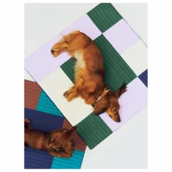 Matelas de voyage pour chien | Lavande