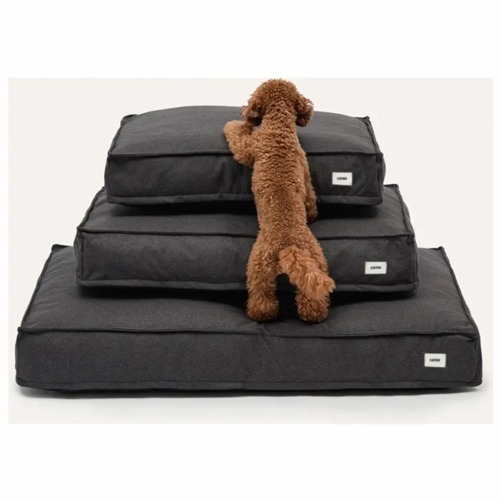 Matelas pour Chien Cuadra | Noir