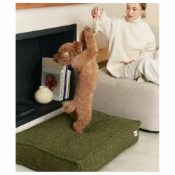 Matelas pour Chien en bouclette Cuadra | Vert
