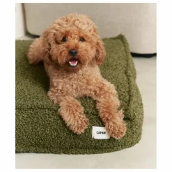 Matelas pour Chien en bouclette Cuadra | Vert