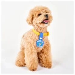 Médaille Begging Champion | Bleu