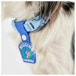 Médaille Begging Champion | Bleu