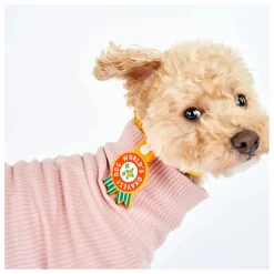 Médaille World's Okayest Dog | Rouge