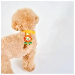 Médaille World's Okayest Dog | Rouge