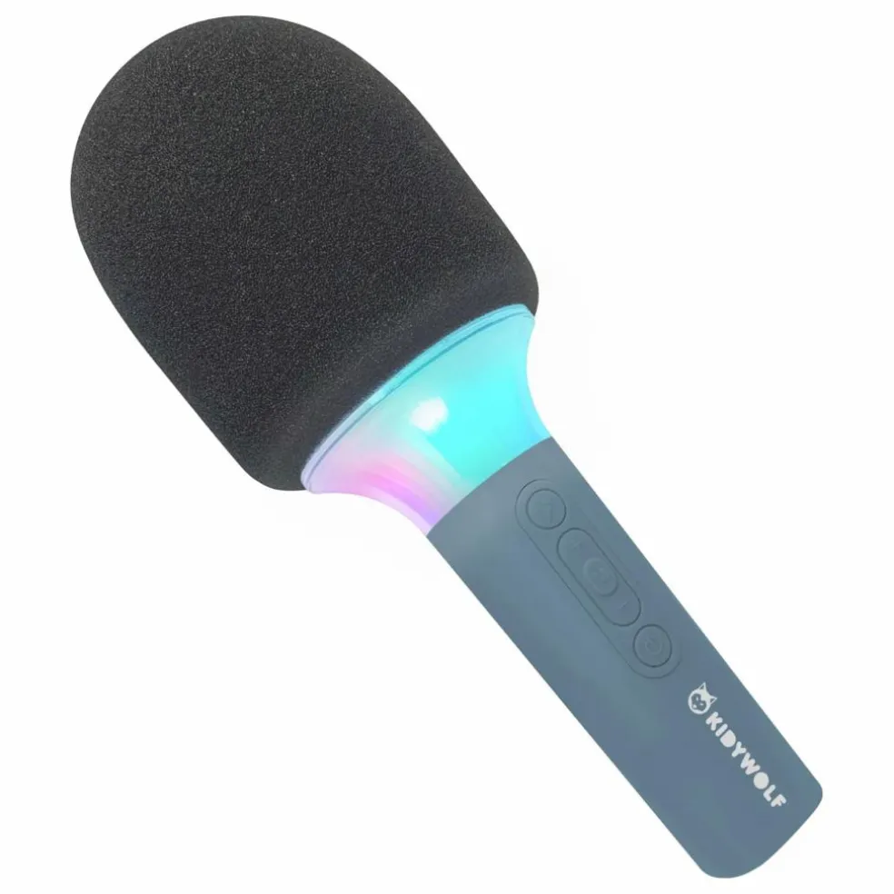 Micro Karaoké Bluetooth | Bleu