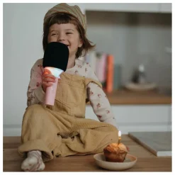 Micro Karaoké Bluetooth | Rose