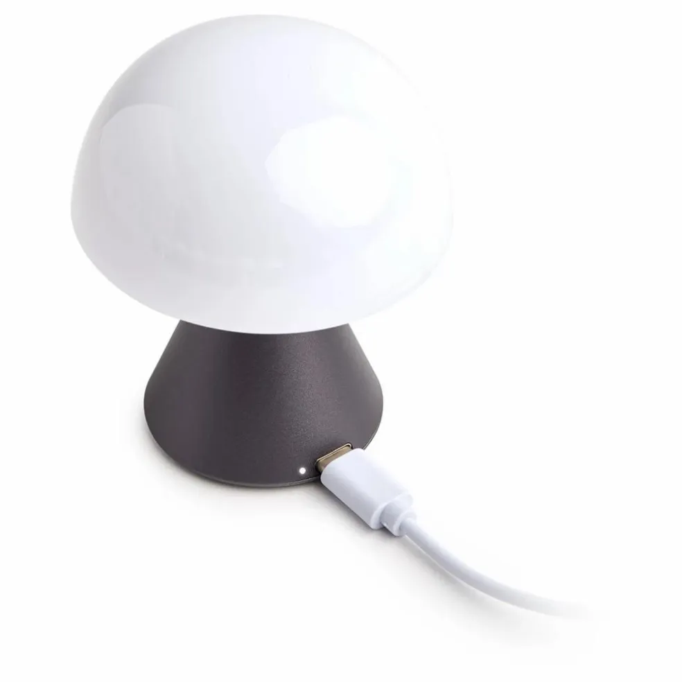 Mini lampe à poser led Mina | Gris métal