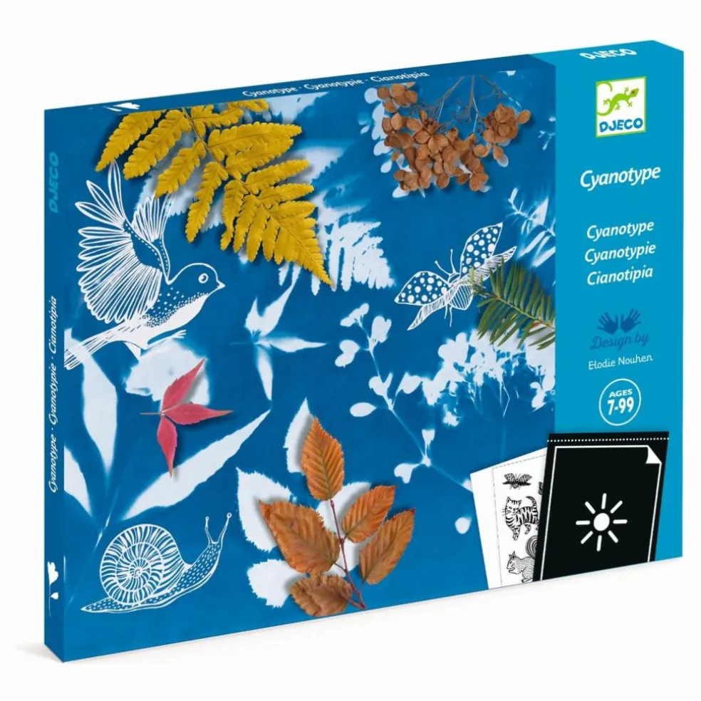 Mon premier kit Cyanotype