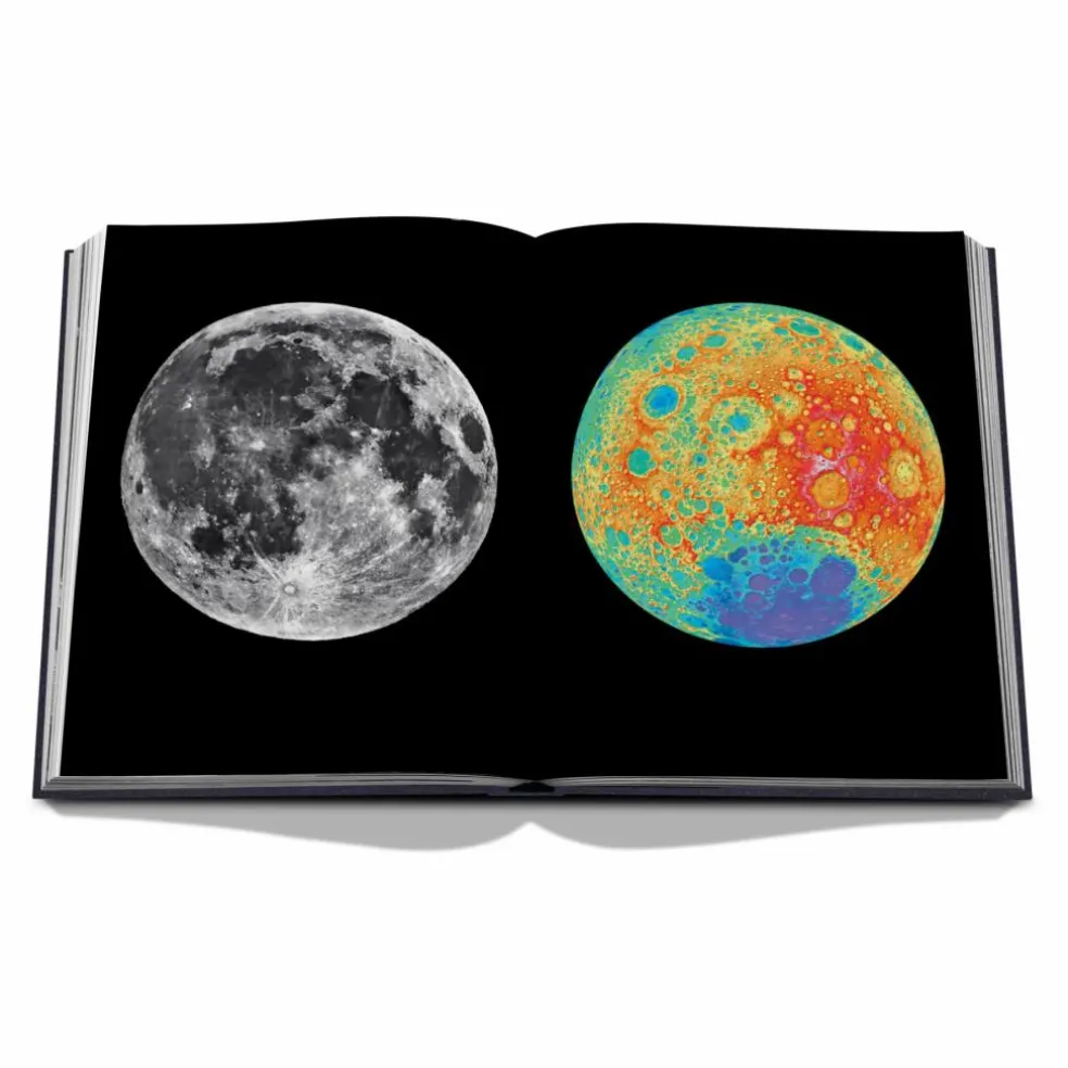 Moon Paradise