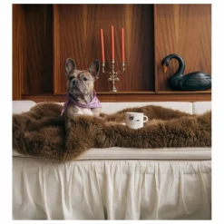 Mug Bouledogue