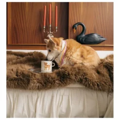 Mug Labradoodle