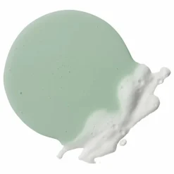 Nettoyant visage purifiant Phaze