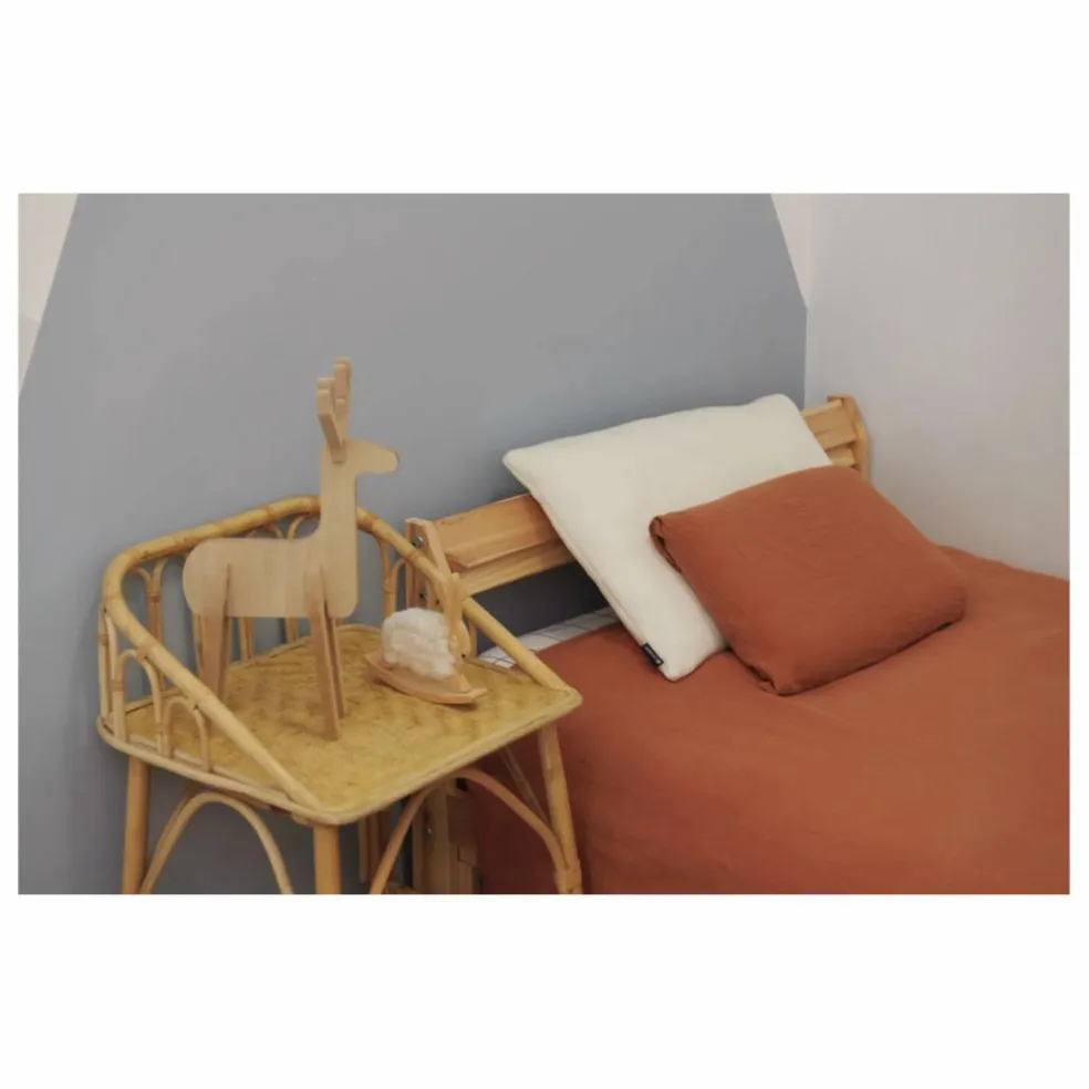 Oreiller Organic Coton