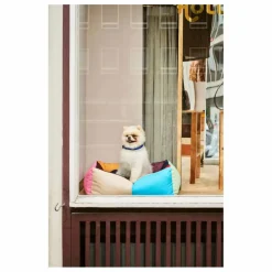 Panier pour chien