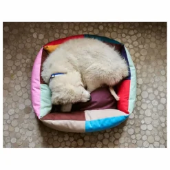 Panier pour chien
