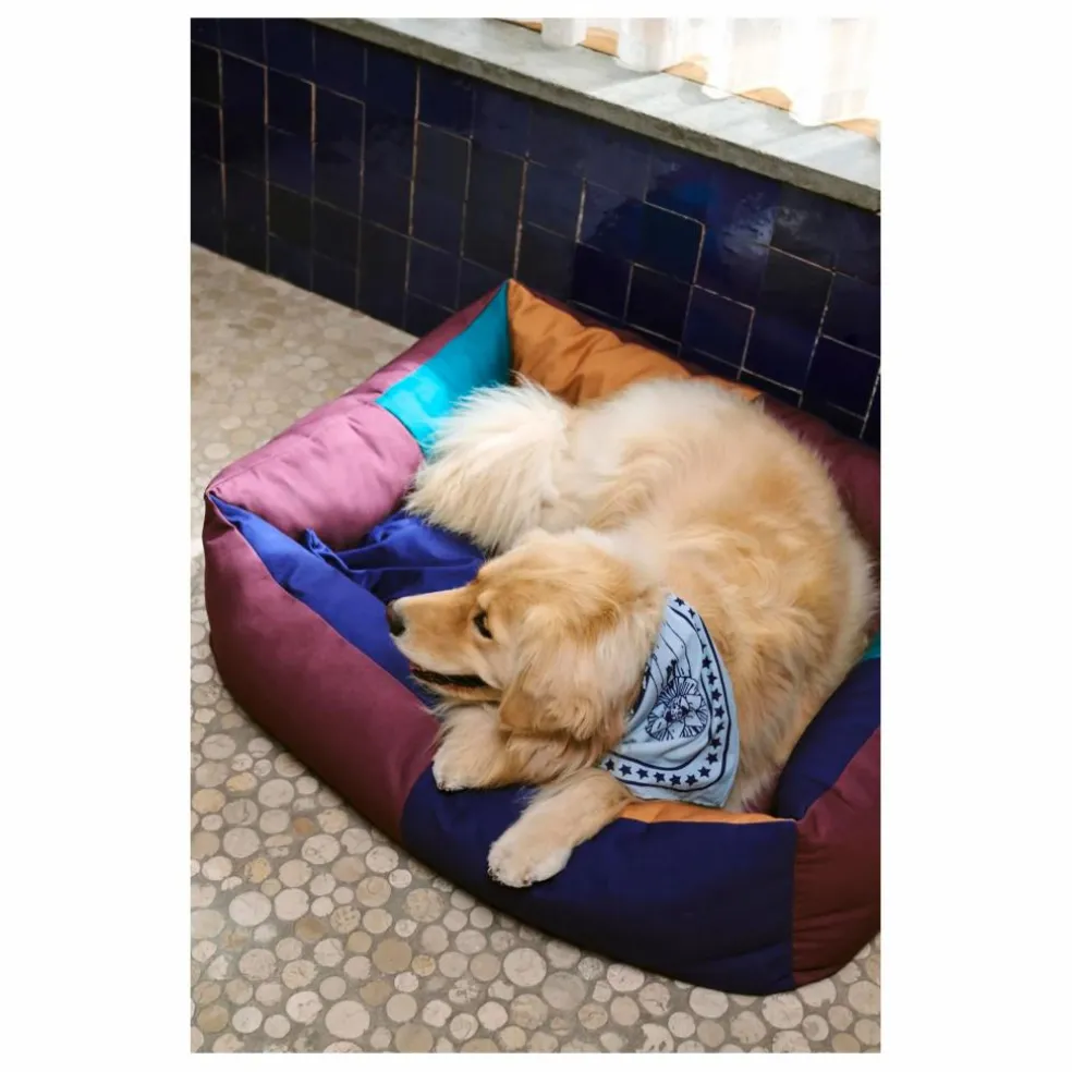 Panier pour chien | Bordeaux