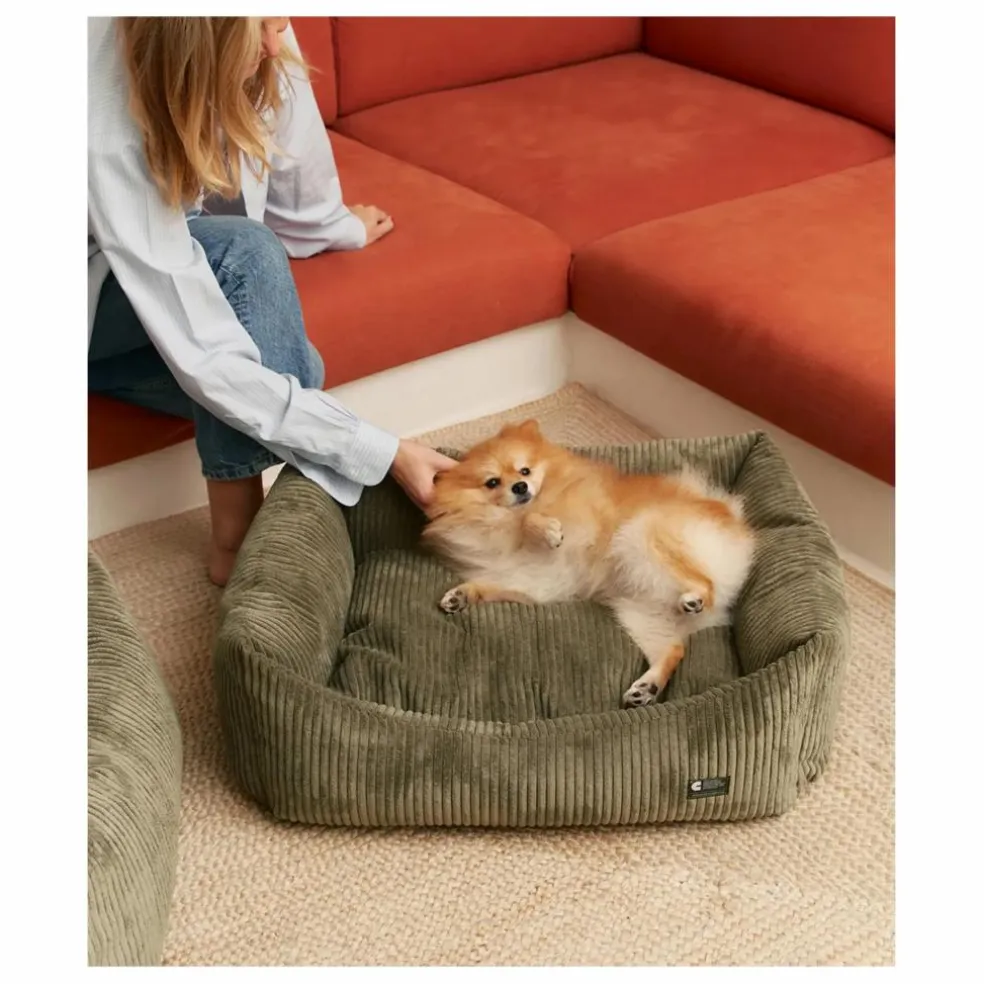 Panier pour chien en velours côtelé Snozy | Vert