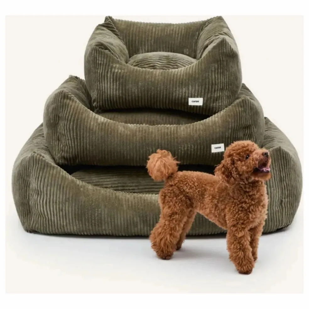 Panier pour chien en velours côtelé Snozy | Vert