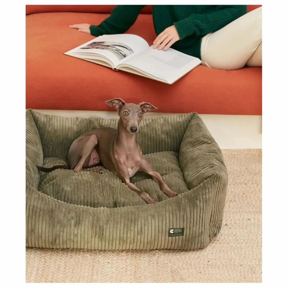 Panier pour chien en velours côtelé Snozy | Vert