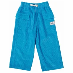 Pantalon Arlo Velours Côtelé | Bleu