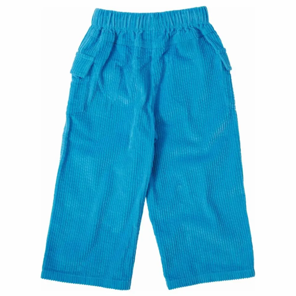 Pantalon Arlo Velours Côtelé | Bleu