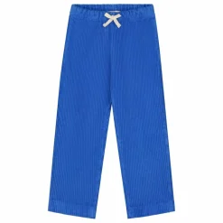 Pantalon Beau Velours Côtelé Bio | Cobalt