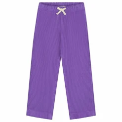 Pantalon Beau Velours Côtelé Bio | Violet