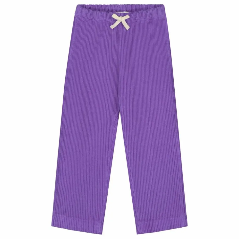 Pantalon Beau Velours Côtelé Bio | Violet