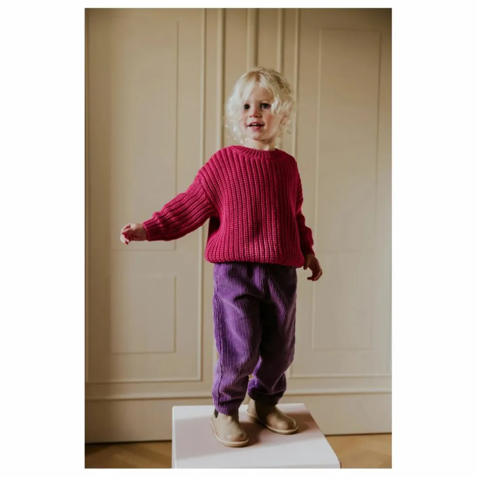 Pantalon Beau Velours Côtelé Bio | Violet