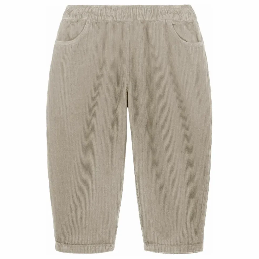 Pantalon Carrot Velours Côtelé Coton Bio | Gris