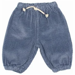 Pantalon Cordon Velours Côtelé | Bleu gris