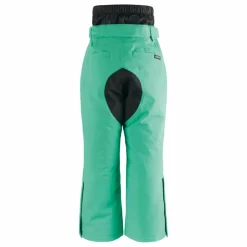Pantalon de ski Big Bad Wolf | Vert Menthe