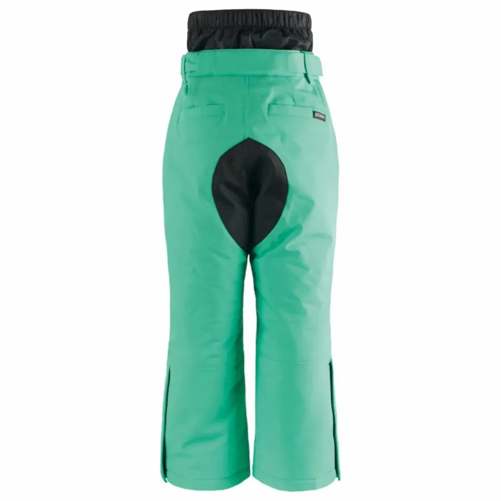 Pantalon de ski Big Bad Wolf | Vert Menthe