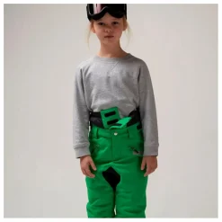 Pantalon de Ski Imperméable Big Bad Wolf | Vert