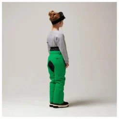 Pantalon de Ski Imperméable Big Bad Wolf | Vert