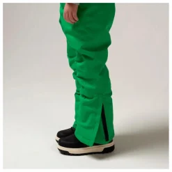 Pantalon de Ski Imperméable Big Bad Wolf | Vert