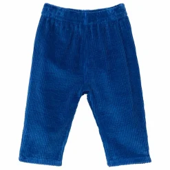 Pantalon Gawen Coton Bio | Bleu électrique