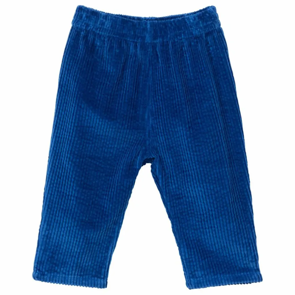 Pantalon Gawen Coton Bio | Bleu électrique