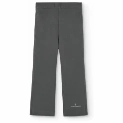 Pantalon Porcupine | Gris anthracite