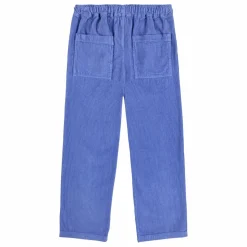 Pantalon Velours Côtelé | Violet