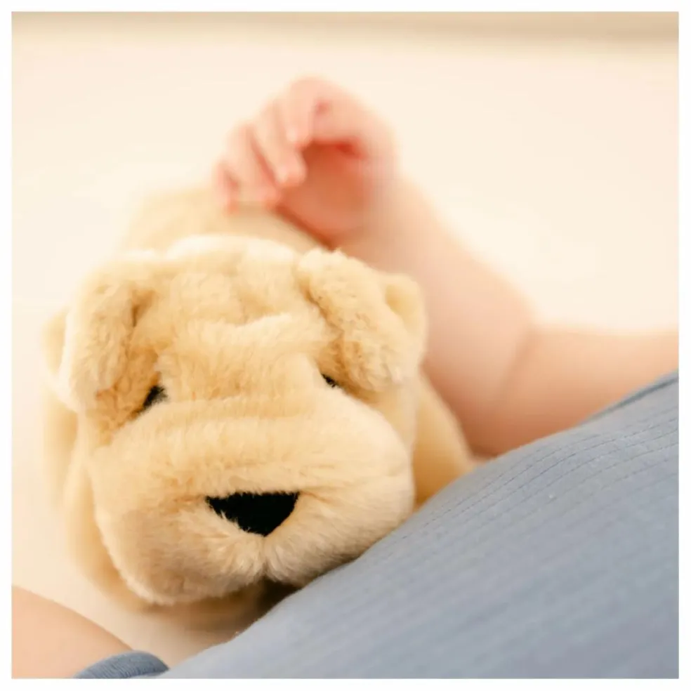 Peluche Chien Hector 20 cm | Miel