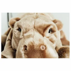 Peluche Mon Hippo Edgar | Gris foncé