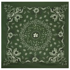 Petit Bandana Soie | Vert