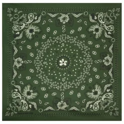Petit Bandana Soie | Vert