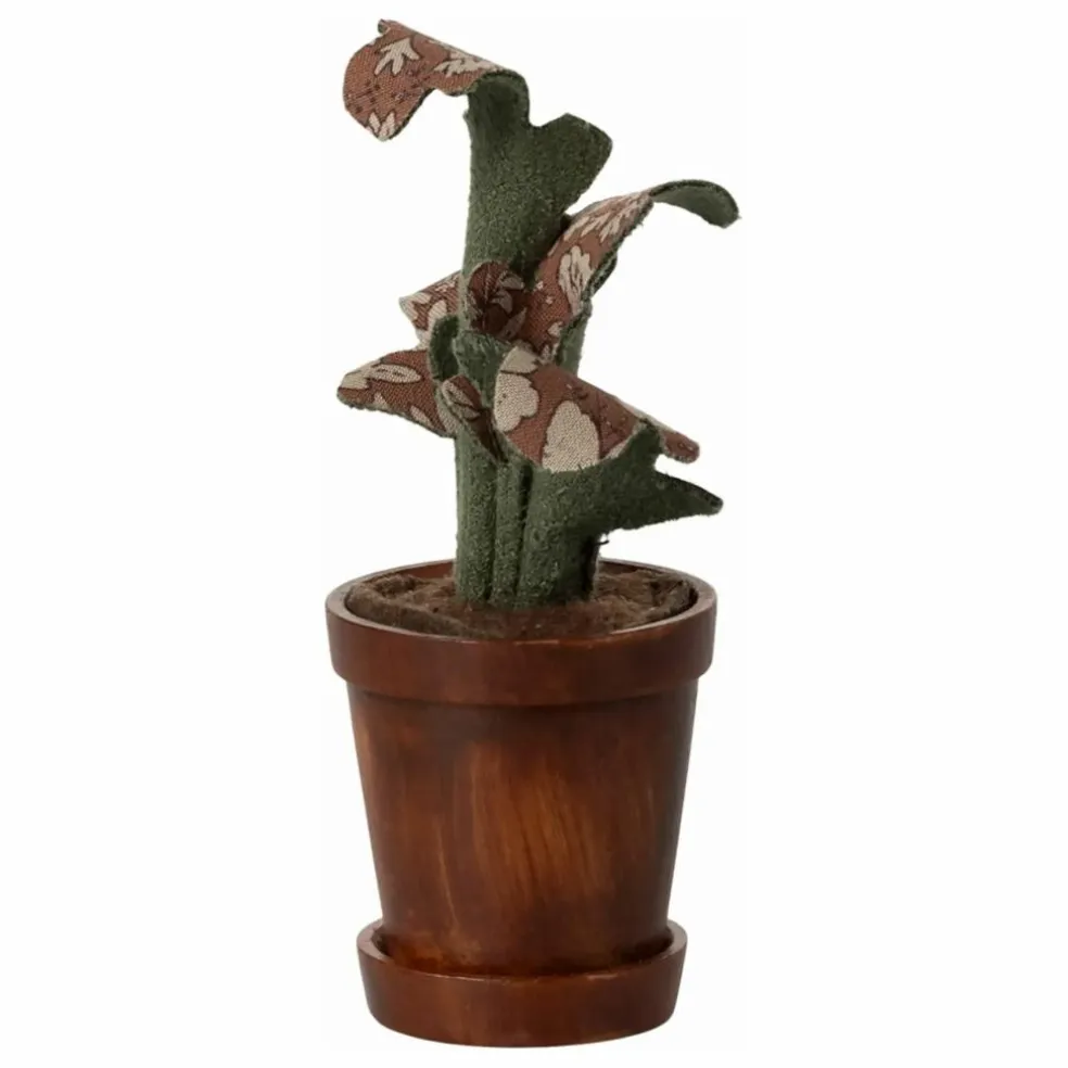 Plante dans son pot