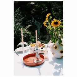 Plateau Palm Tree | Orange
