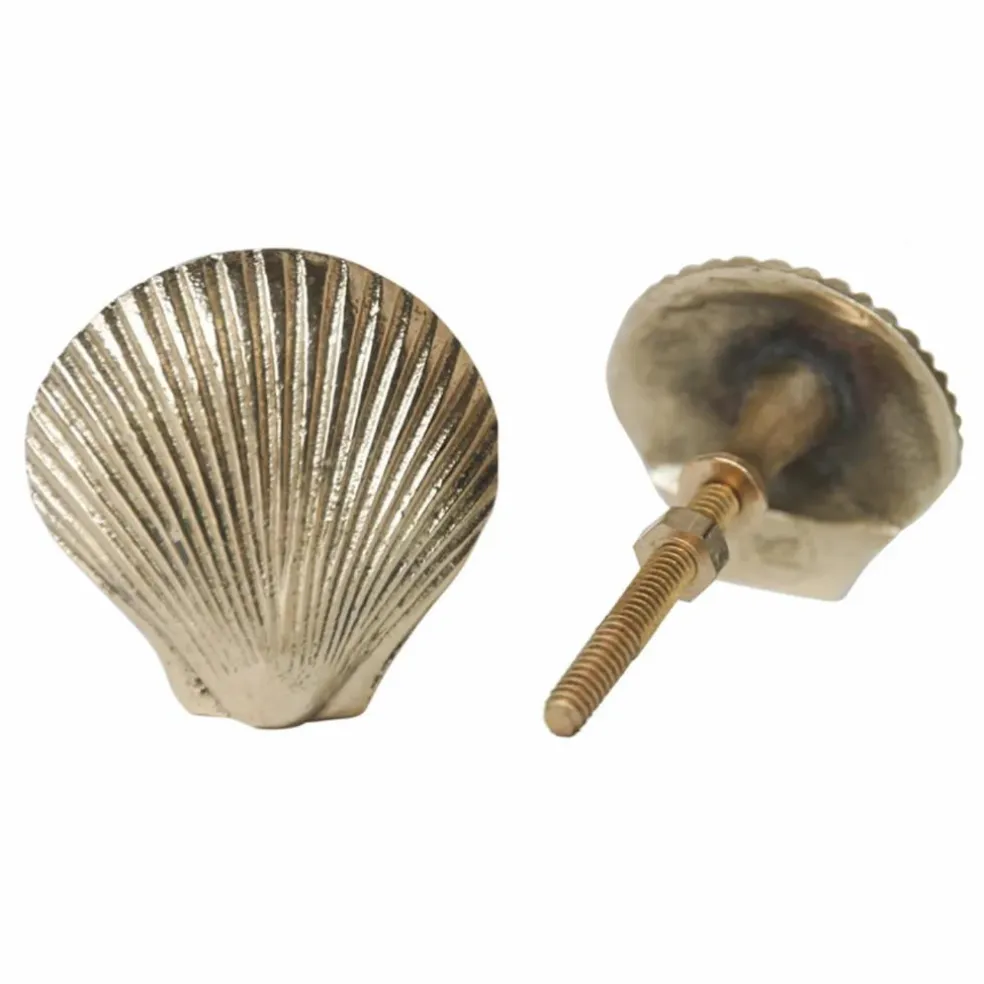 Poignée de porte en laiton Shell | Doré